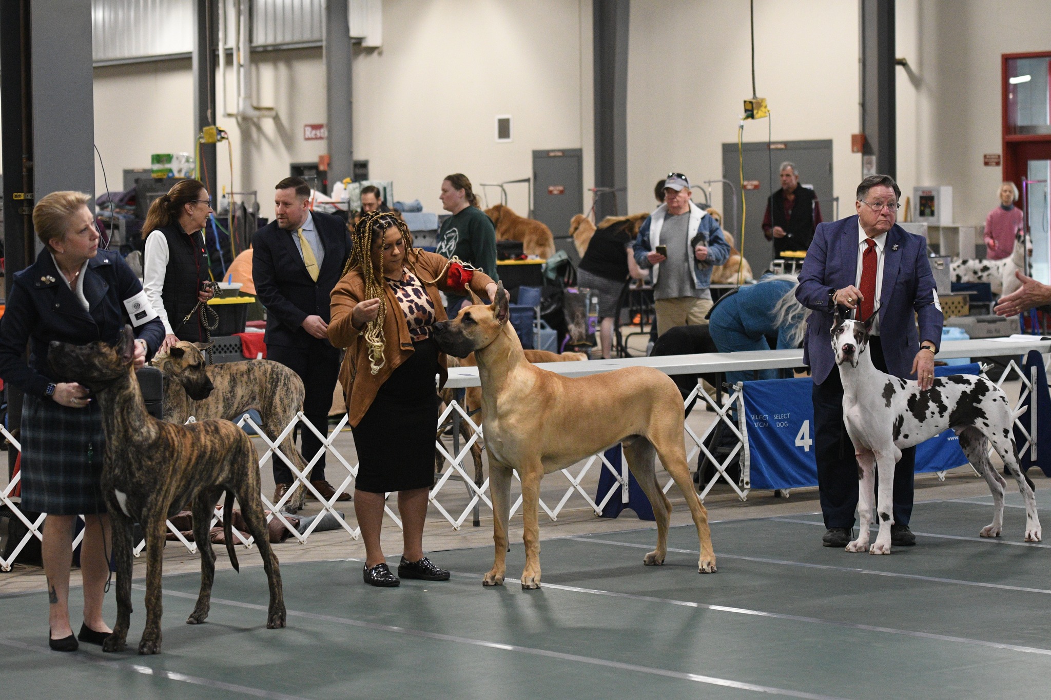2025 Specialty Show